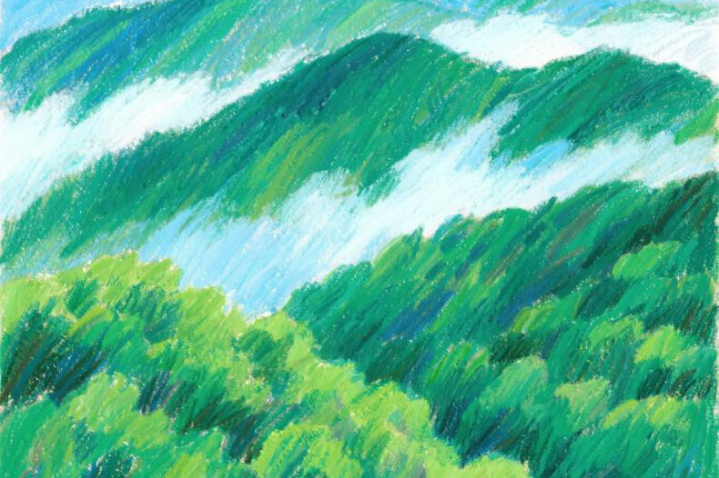 这瓜既是水果又是菜，疏肝止咳本领大，加鸡蛋一炒，比黄瓜更美味