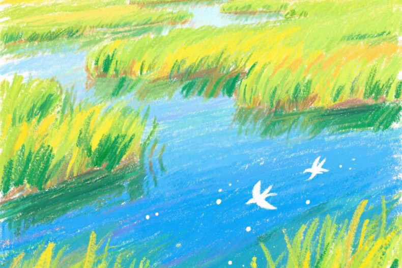 
长沙市中心医院核酸检测指南
