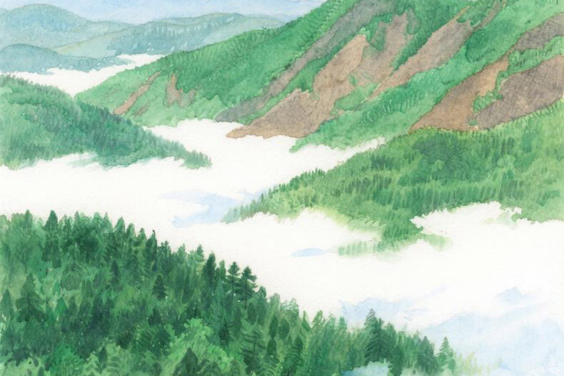 中国年·仪式感丨收官！海外同胞欢庆中国年全球共享云团圆