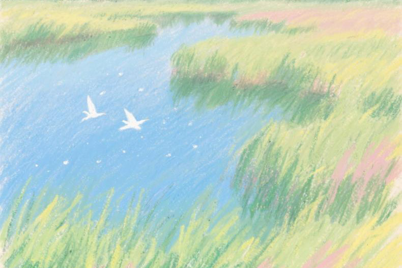 丁禹兮爱用的胶片机，涨价预定！